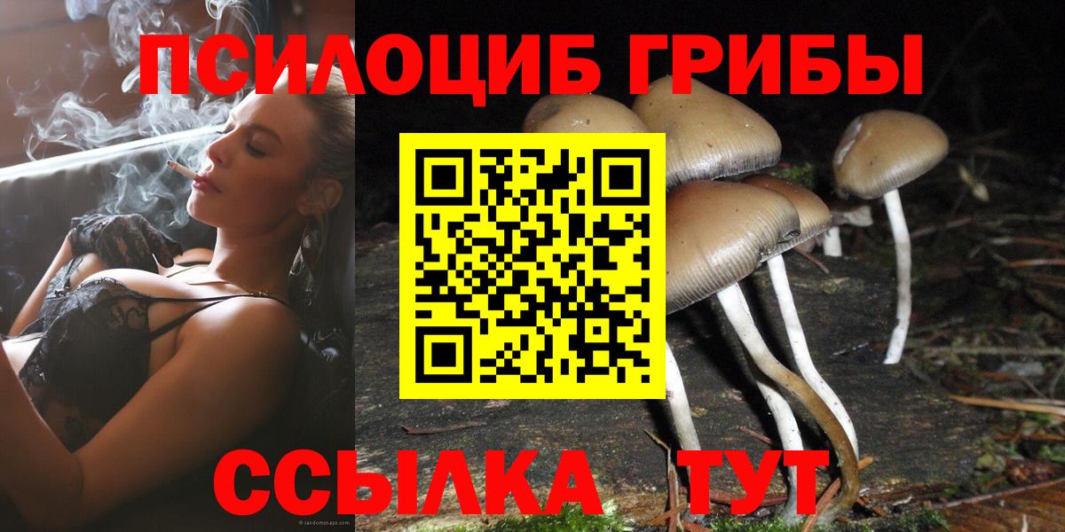 Чехов  Псилоцибиновые грибы Psilocybe  Вход с VPN 